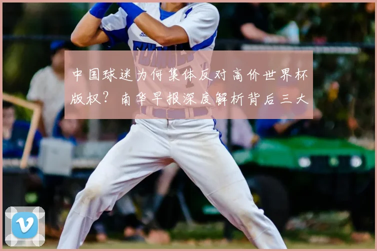 中国球迷为何集体反对高价世界杯版权？南华早报深度解析背后三大主因