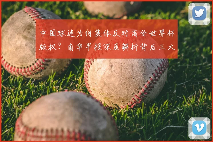 中国球迷为何集体反对高价世界杯版权?南华早报深度解析背后三大主因